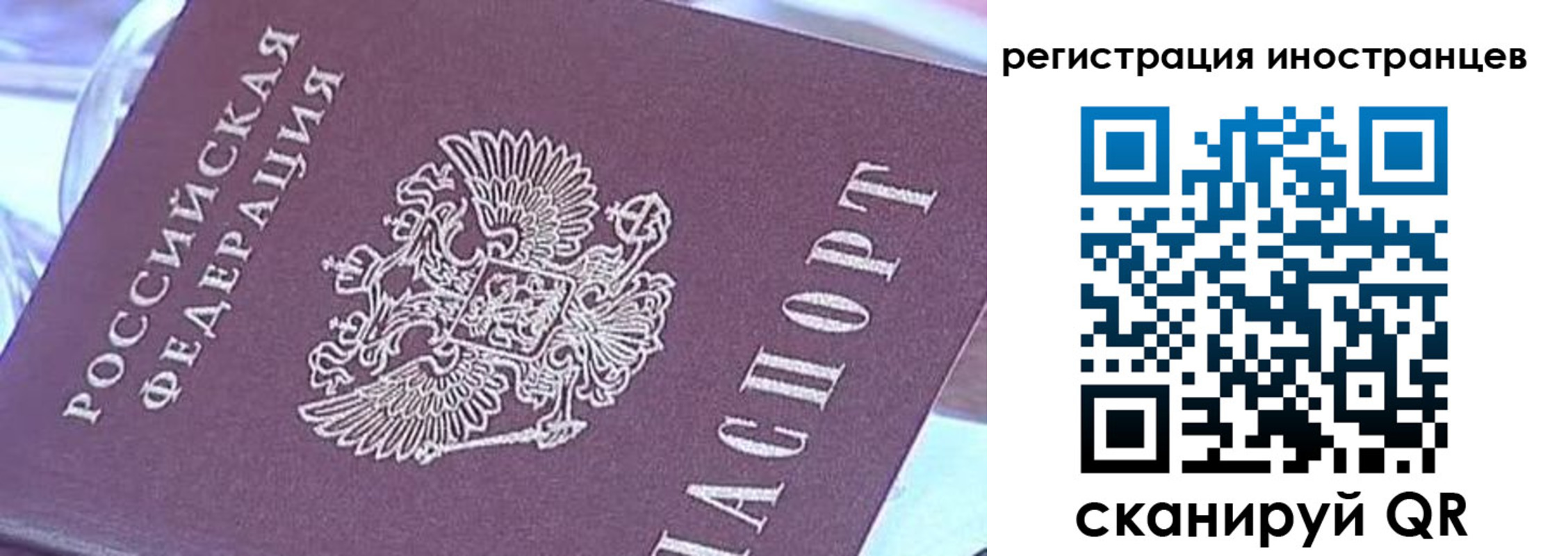 прописка для работы в Железногорске